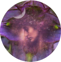 Clairvoyance - Clary Sage Kyphi